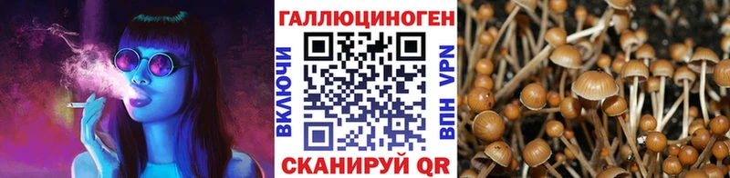 Псилоцибиновые грибы GOLDEN TEACHER  Хилок 