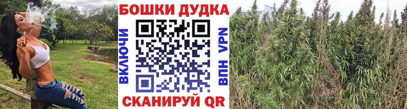 Марихуана план Хилок
